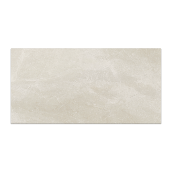 **LIMITED STOCK** Nuance White Shell 12" x 24" Honed